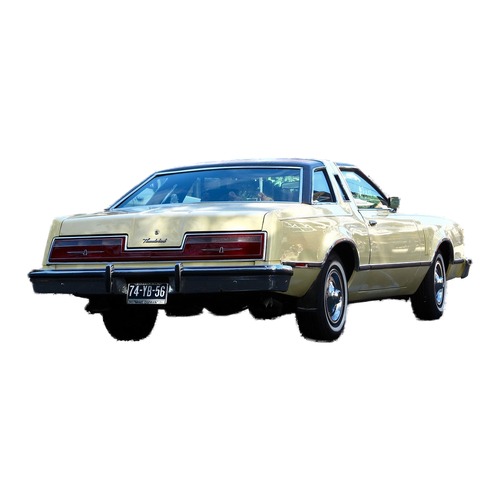 Thunderbird (1977-1979) - Fuel System