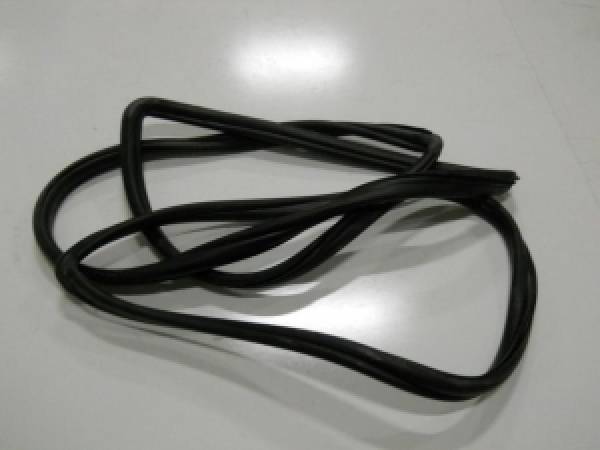 Auto City Classic - 1959 Ford / Edsel Windshield Gasket W571G
